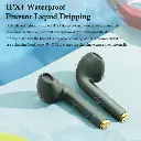 7.webp